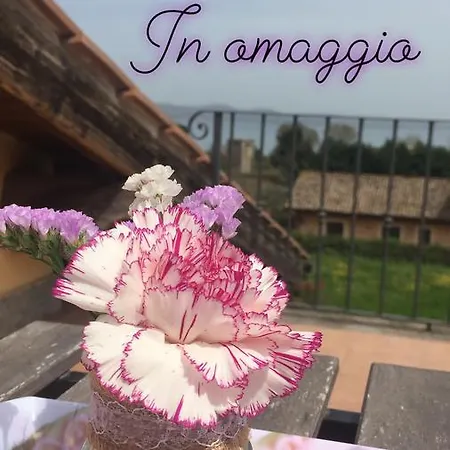 A Casa Mia Bed & Breakfast *